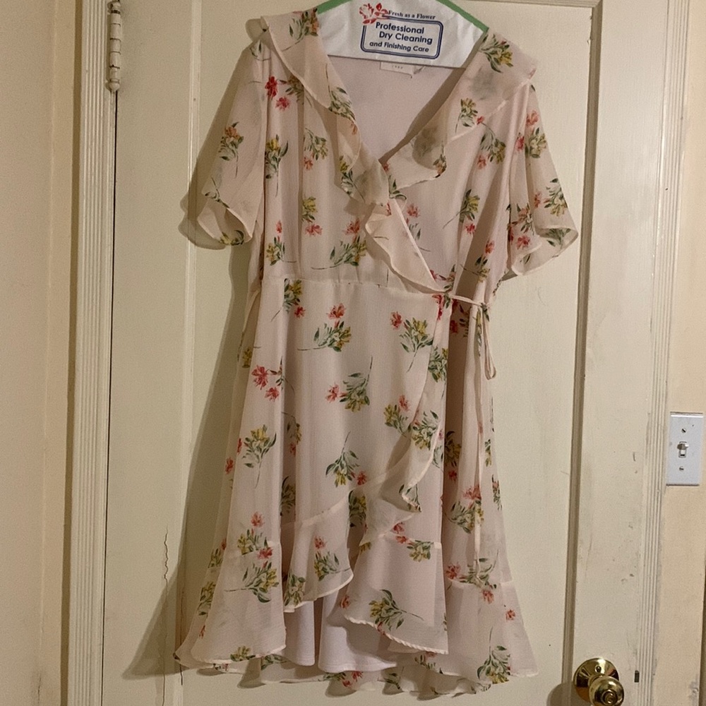 Beautiful Lush Fully Lined Dress